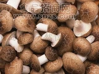 青岛品味香菇粉香菇碎