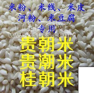 贵朝米