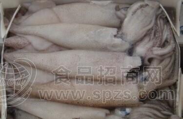 优质冷冻秋刀鱼 厄瓜多尔鲳鱼 海参 冷冻水副产品低价批发