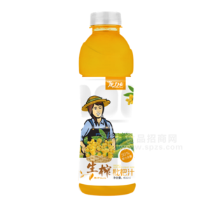 龍力卡 生榨枇杷汁 果汁飲料 600ml