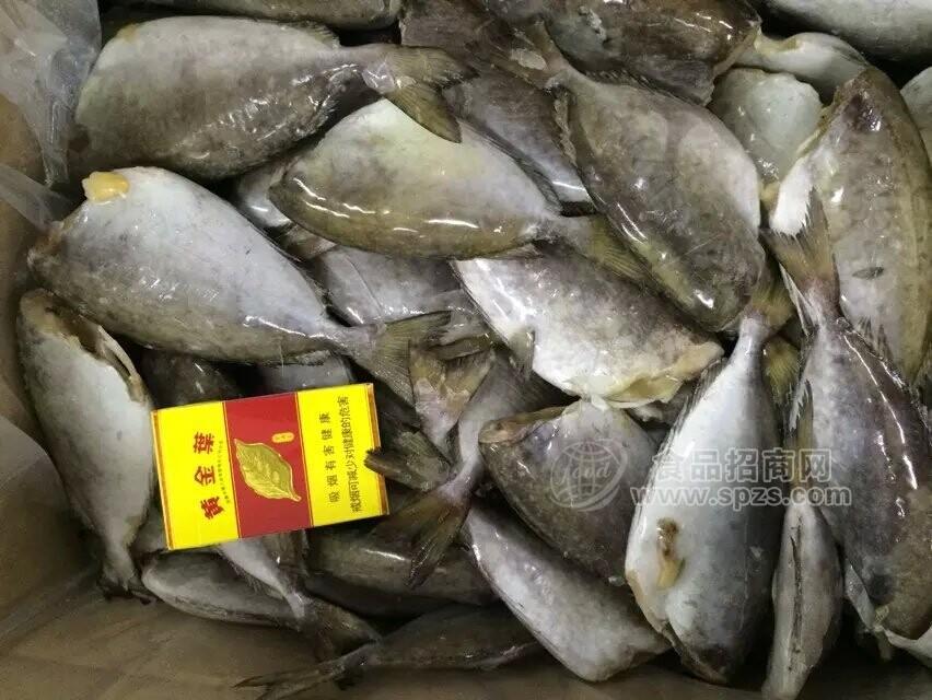 供應(yīng)單凍二去黎鯭魚