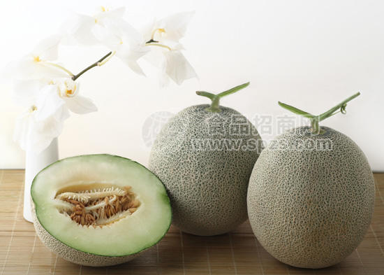 烟台海阳网纹瓜批发