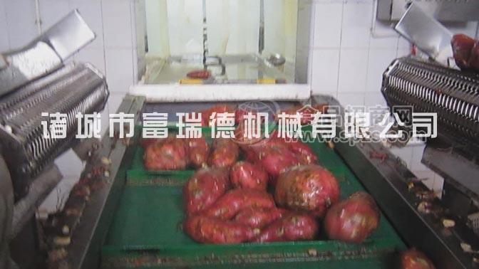 山东大型红薯清洗机、地瓜清洗流水线