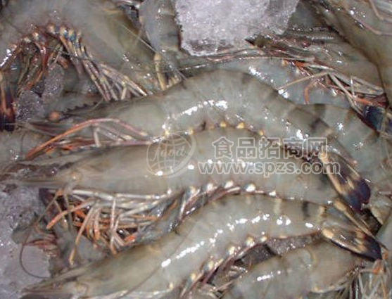北海冷冻对虾供应商,全国均可发货