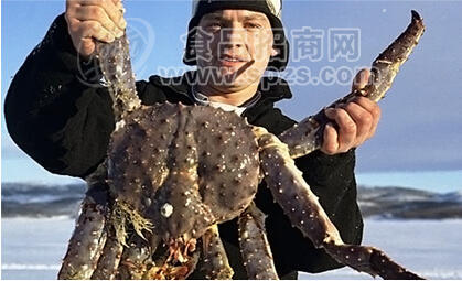 阿拉斯加帝王蟹 进口螃蟹批发 全国供应