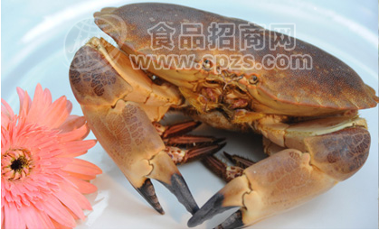 供应面包蟹 进口海鲜批发