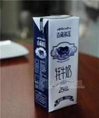 青藏祁连 牦牛奶