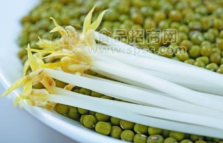 绿豆芽
