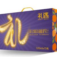 礼遇枇杷汁 320ML（紫）