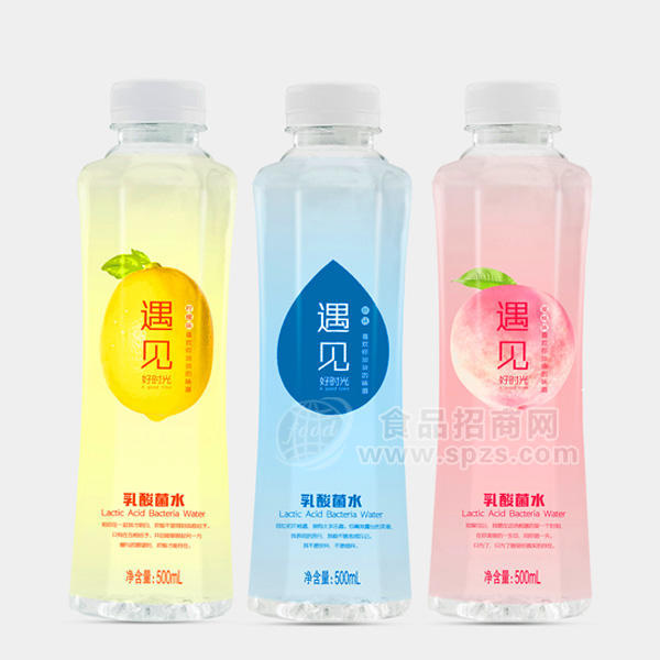 遇见好时光 乳酸菌水500ml