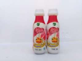 花生露植物蛋白饮料