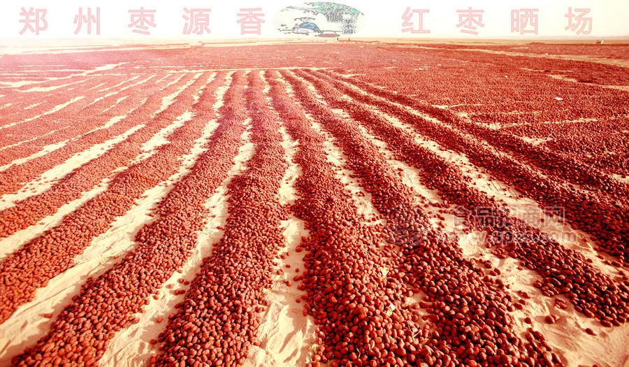 麦盖提红枣