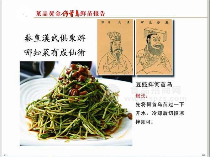 何首乌菜3