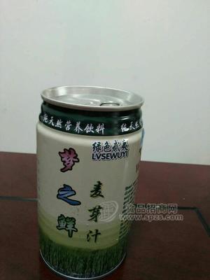 麥芽汁 粗糧飲料 植物蛋白飲品