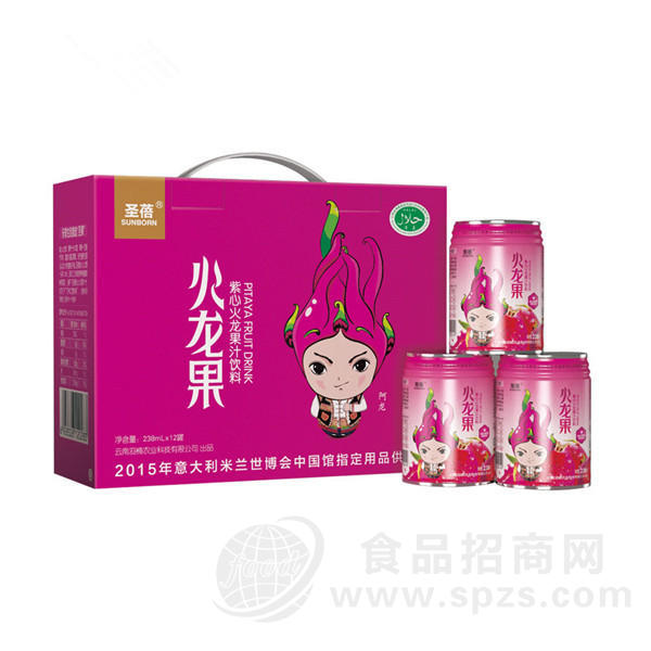 圣蓓 火龙果 紫心火龙果汁饮料 238mlx12罐