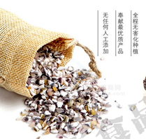 布莱克兄弟五谷杂粮粗粮有机食品农产品新粮特价黑糯玉米渣糁