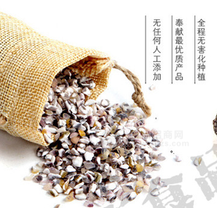 布萊克兄弟五谷雜糧粗糧有機(jī)食品農(nóng)產(chǎn)品新糧特價黑糯玉米渣糝