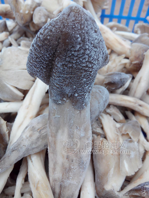 云南优质野生菌 特产速冻中菇整菇无泥正品纯野生冻鸡枞