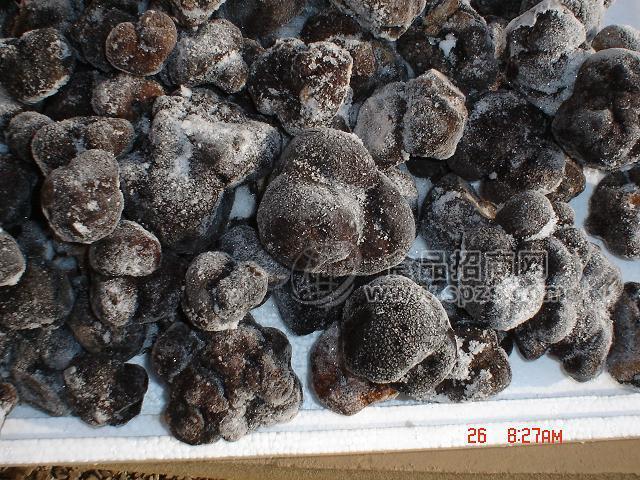 原产地 纯野生 正品 成熟山珍精品 无泥 冻块菌 冻黑松露