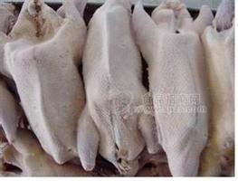 南海冷冻白条鸭批发市场报价