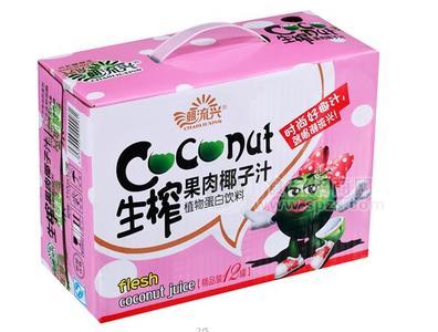 潮流兴生榨果汁椰子汁植物蛋白饮料310X12灌