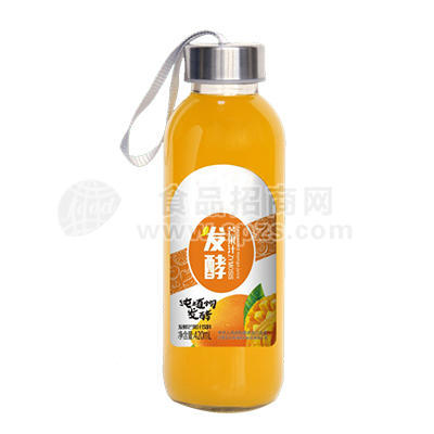 發(fā)酵芒果汁飲料420mL