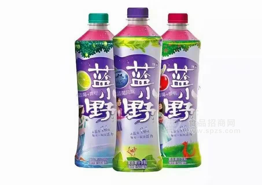 藍小野 復合果汁飲料 500ml