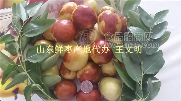 山东鲜梨枣