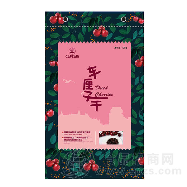 车厘子干蜜饯果脯 休闲食品108g