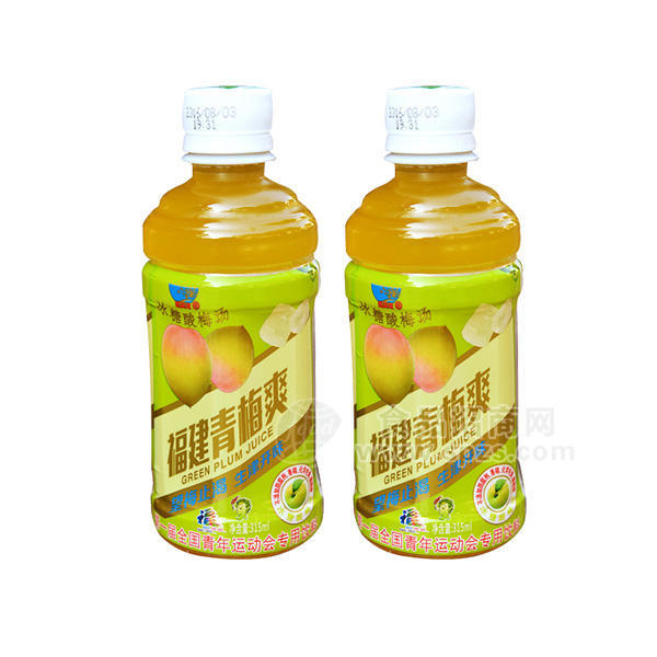 舌尖龍冰糖酸梅湯 青梅果汁飲料 315ml