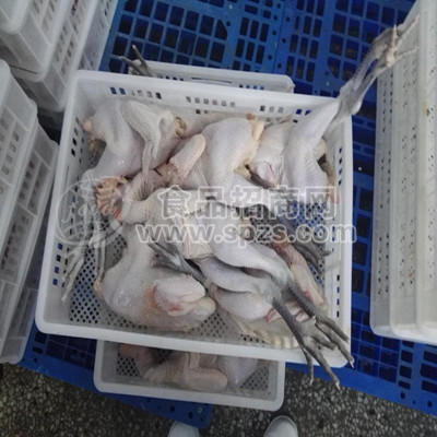 山东汶芦牧业蛋鸡白条鸡