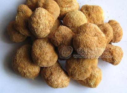 猴頭菇500g