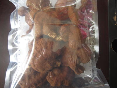 野生灵芝500g