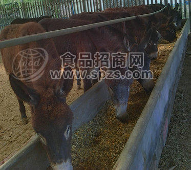 肉类:驴肉