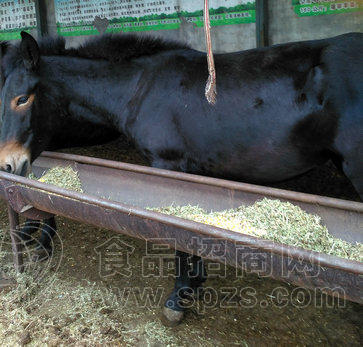 肉类:其他肉类