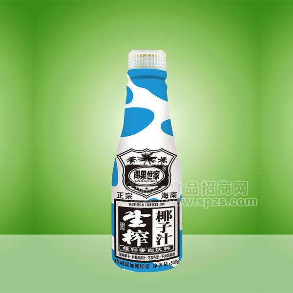 生榨椰子汁植物蛋白饮料500g