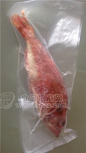 加拿大深海野生红石斑鱼