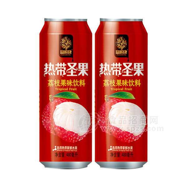 富順康荔枝果味飲料480mlx9罐