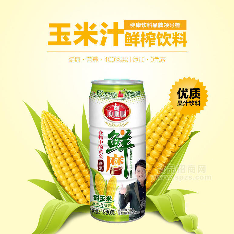 SK15扁头石英加热管，带端子透明石英加热管，透明卤素石英加热管