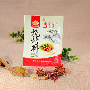 易厨食代烧烤料调味料30g
