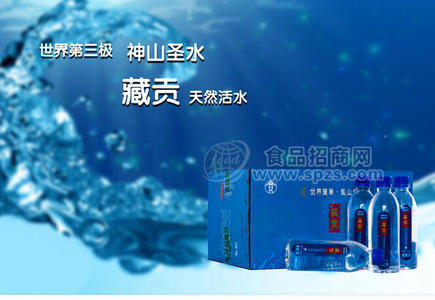 藏贡天然活水380ML便携装 纯净水