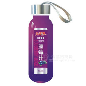 怡美濃生榨藍(lán)莓汁370ml