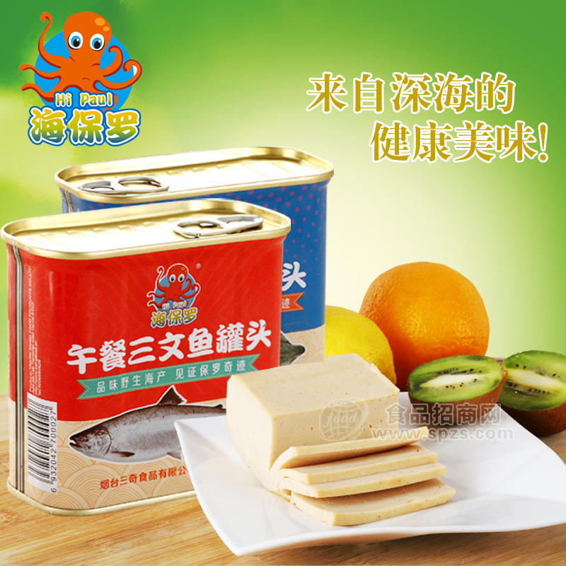 烟台海保罗三文鱼罐头