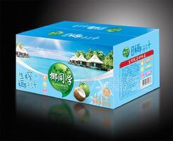 椰同学生榨椰子汁植物蛋白饮品 箱装