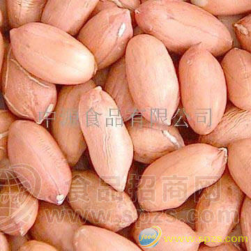 供应花生仁
