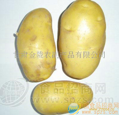 供应土豆