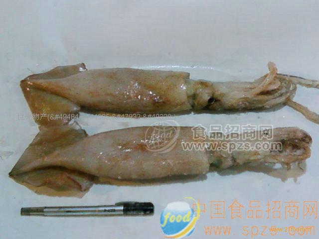 魷魚