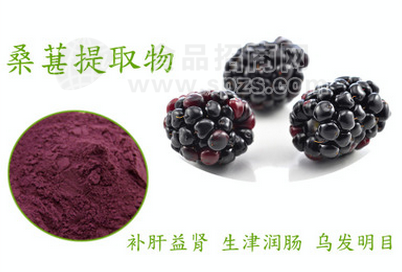 桑葚提取物 规格10:1 浓缩桑葚粉