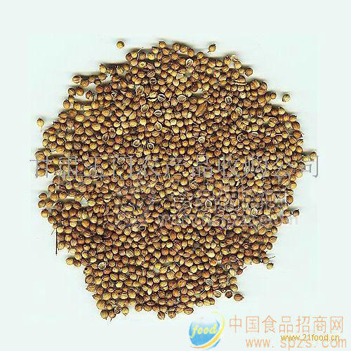 供應(yīng)香菜籽