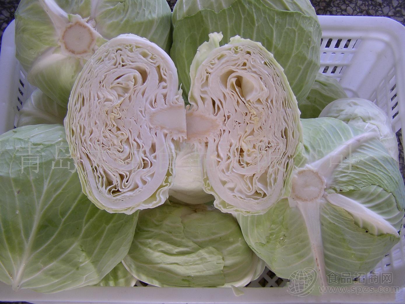 供应保鲜甘蓝